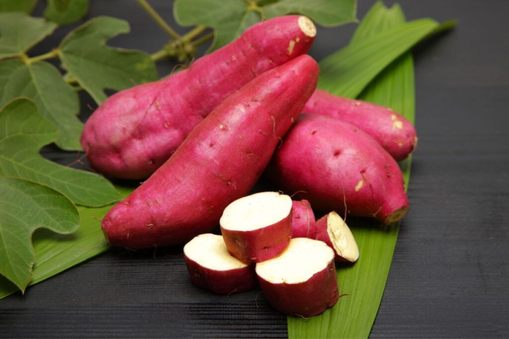 Como escolher batata-doce sem erros? - Notícias Concursos
