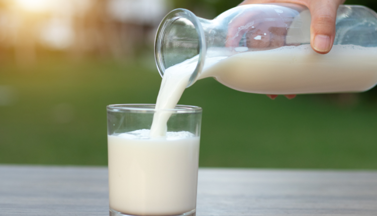Benefícios e malefícios de tomar leite