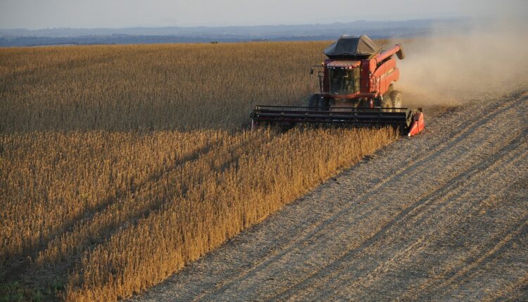 IBGE prevê safra de grãos de 299,7 milhões de toneladas para 2023