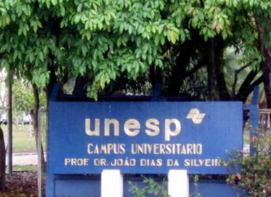 UNESP publica Concurso público para Contratar Professor Substituto