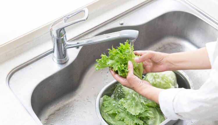 Esta é a forma ideal de higienizar alface antes de fazer salada