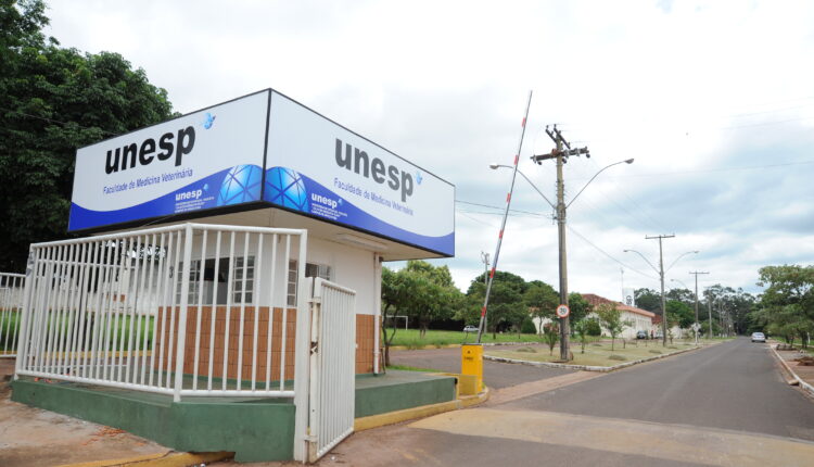 UNESP abre CONCURSO PÚBLICO para Professor Assistente em Araçatuba