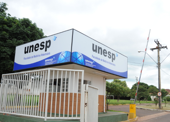 UNESP abre Concurso público para Professor em Araçatuba