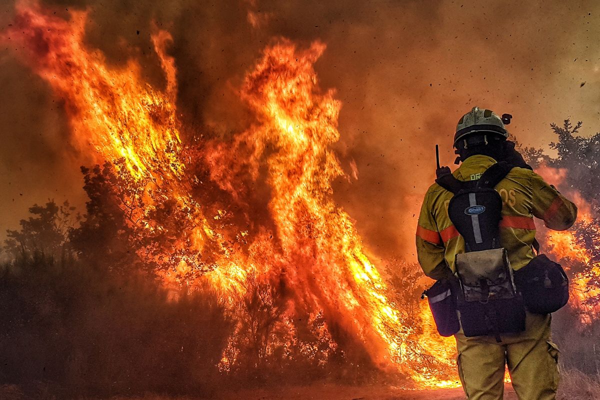 concurso Bombeiros PB- Reprodução Canva