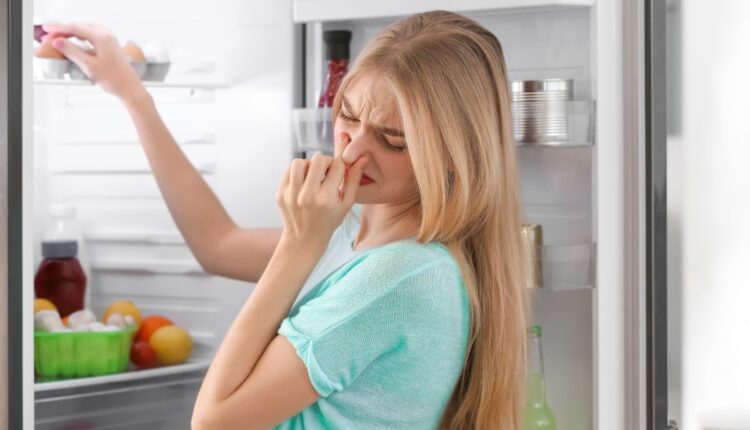 5 dicas caseiras para tirar cheiro ruim da geladeira