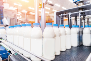 Preço do leite cai quase 30% neste ano e PREOCUPA por ESTE motivo