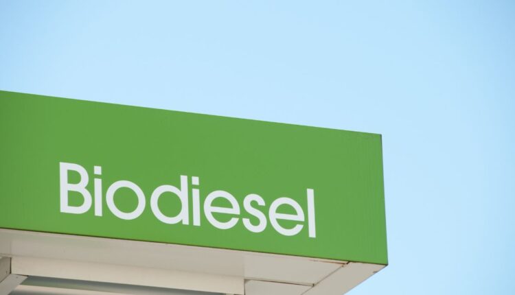 Biodiesel_ subsídio ou aposta para o futuro_- Reprodução Canva
