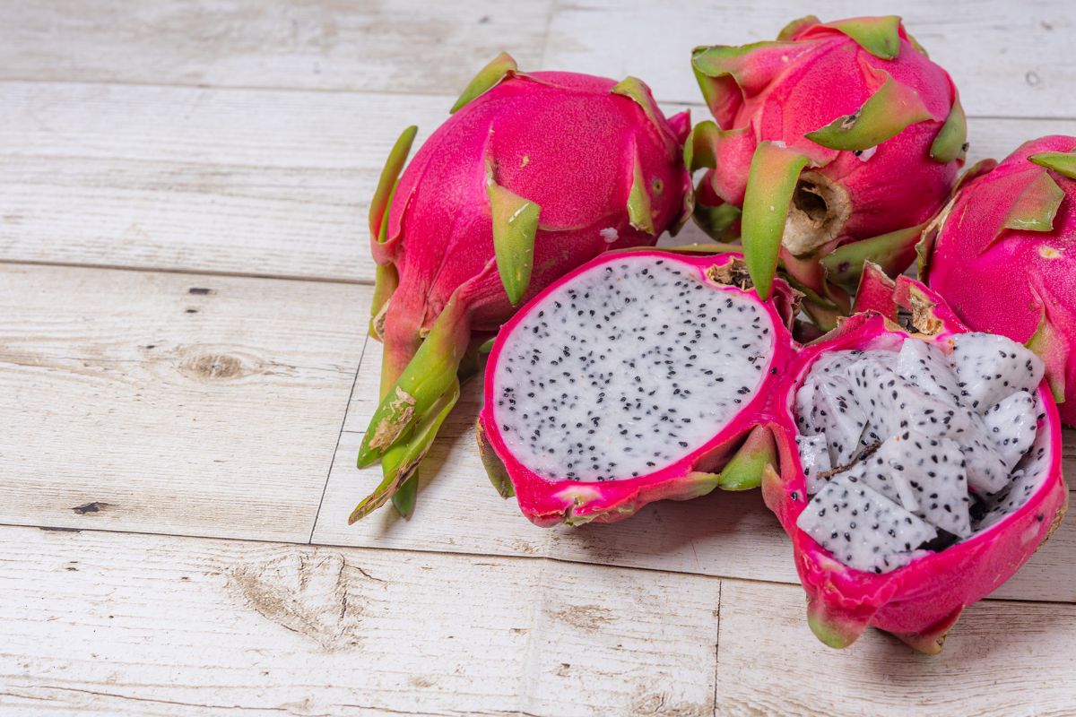 Como cultivar pitaya em casa- Reprodução Canva
