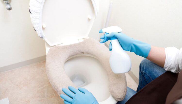 Como limpar corretamente o vaso sanitário_- Reprodução Canva
