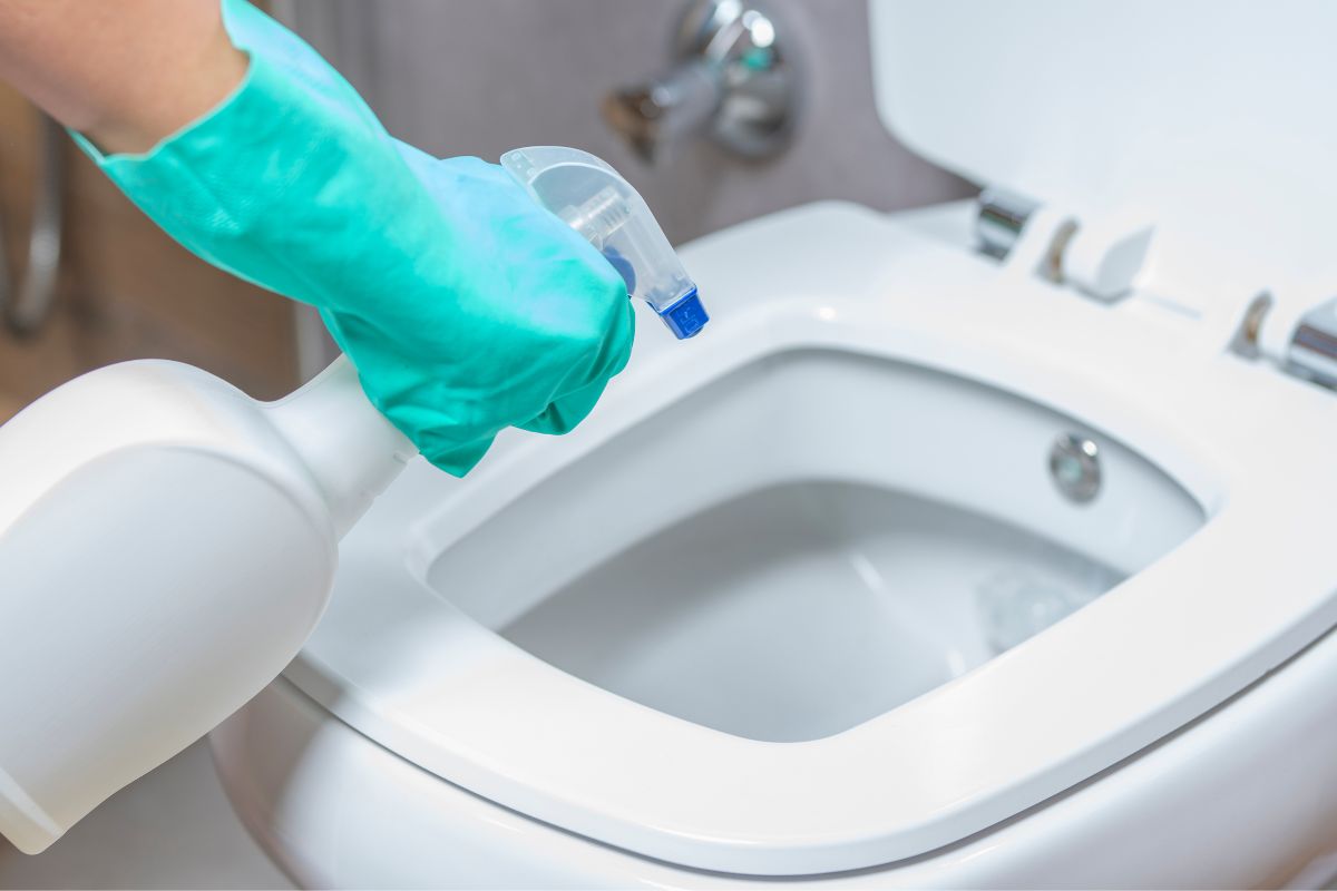 limpar corretamente o vaso sanitário- Reprodução Canva