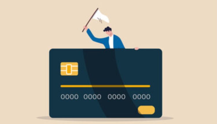 Descubra como as bandeiras do cartão de crédito moldam sua jornada de consumo