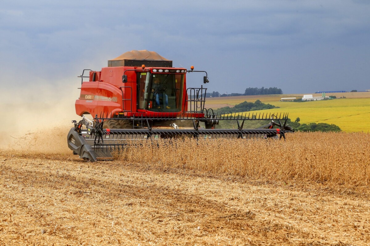 Estimativa do IBGE indica recorde da safra graças às colheitas de milho e soja