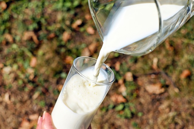 Vigilância Sanitária de Maceió apreende 1.916 litros de leite proibido para venda na capital