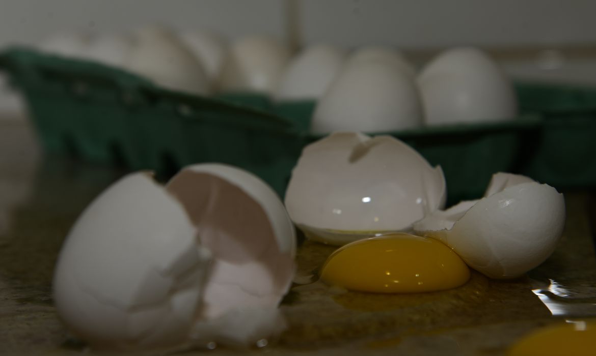 Alta no preço do ovo começa a assustar brasileiros. Veja números