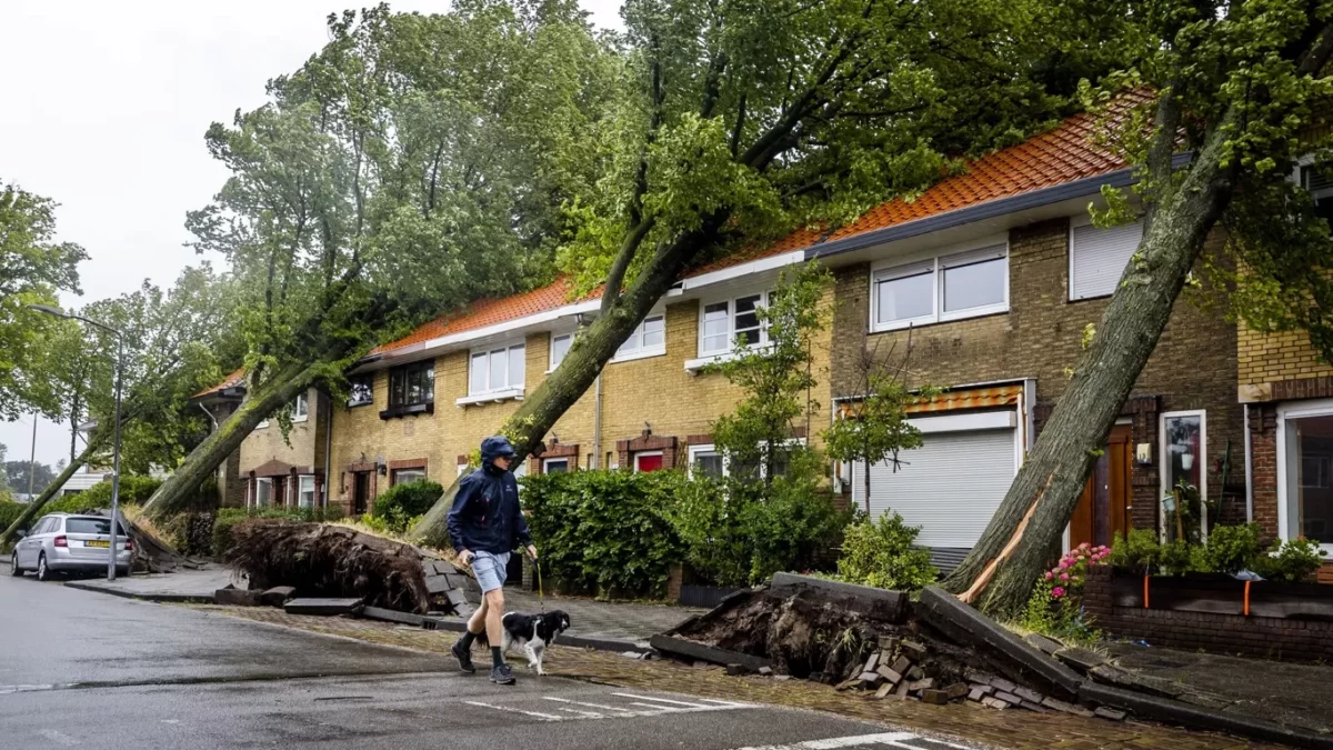 Várias árvores de uma rua de Haarlem derrubadas pelo vento intenso do ciclone Poly que castigou Amsterdã e outras áreas da Holanda. 