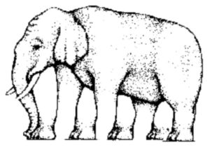 Patas elefantes - ilusão de ótica