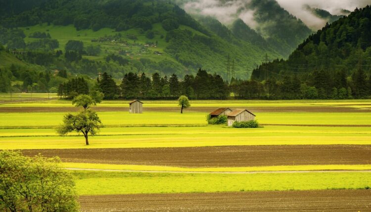 Entenda os passos de como declarar o imposto sobre propriedade rural