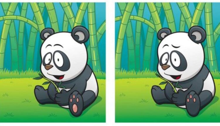teste visual do panda