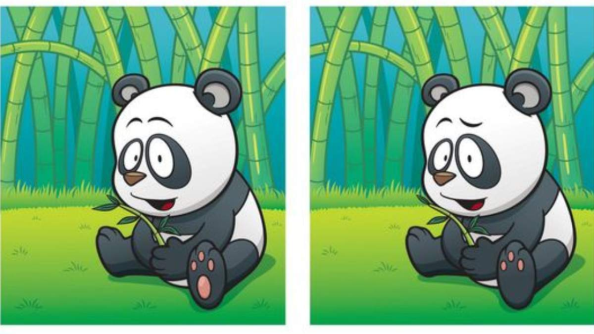 Estimule suas habilidades nesse teste visual do panda