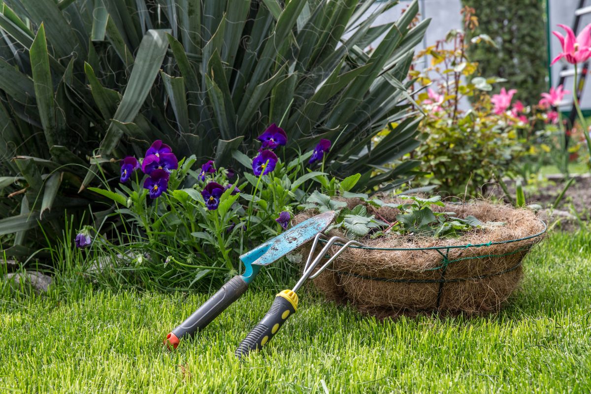 Ecojardim é a franquia de jardinagem perfeita - Reprodução Canva