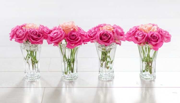 Guia fácil para plantar rosas em vasos para um jardim bonito