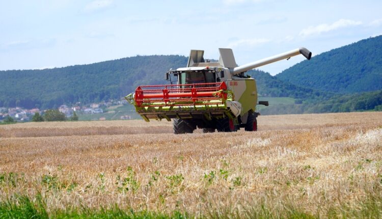 IBGE prevê safra RECORDE de grãos de 307,3 milhões de toneladas para 2023