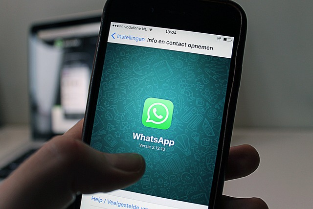 WhatsApp: como fazer vídeo redondo e enviar como mensagem - Mundo Conectado