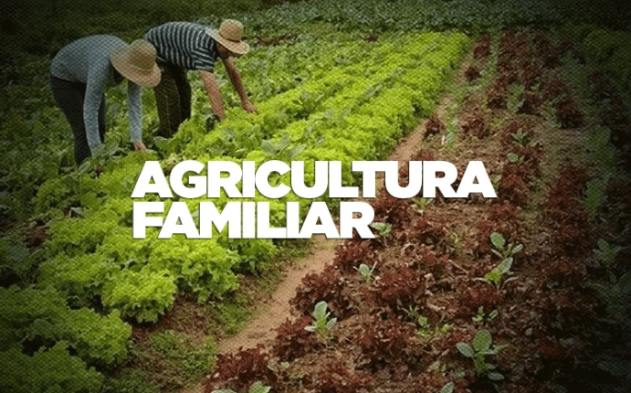 Plano Safra para Agricultura Familiar 2023/2024: Veja as linhas de crédito oferecidas pela CAIXA
