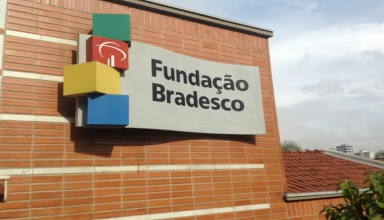 Confira 50 cursos gratuitos oferecidos pela Fundação Bradesco