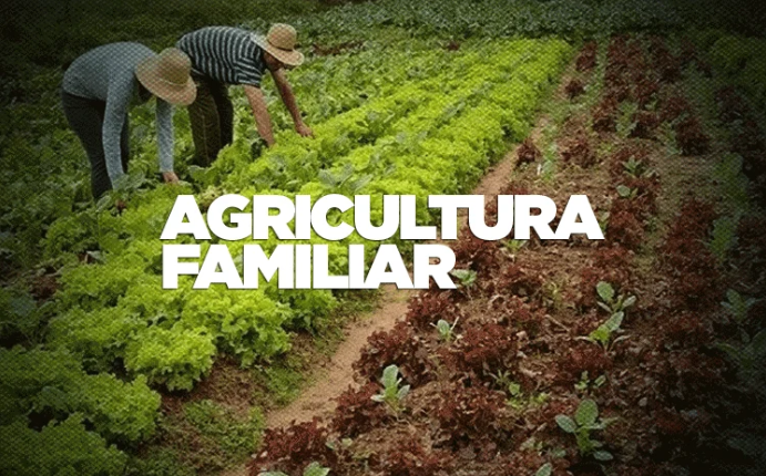 SAIU! NOVO acordo é ÓTIMA NOTÍCIA para quem vive e precisa de agricultura familiar