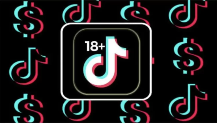 Veja como funciona e riscos do app TikTok 18