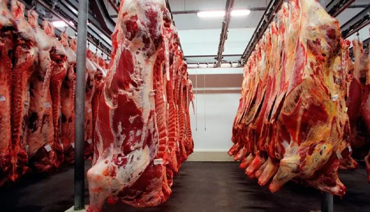 ALERTA, risco à saúde: Vigilância Sanitária apreende carne estragada e imprópria para consumo