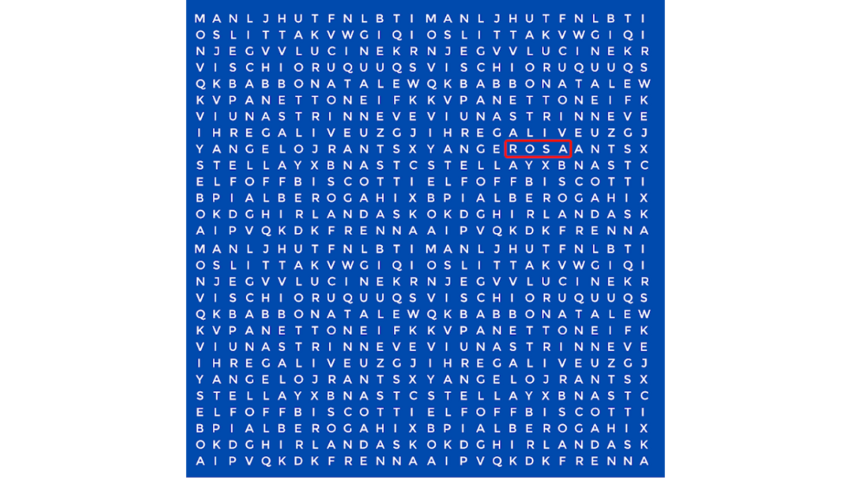 CAÇA- PALAVRAS Word Search