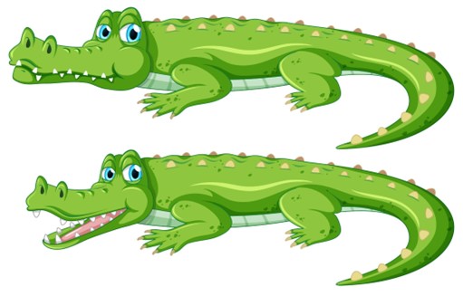 desafio dos crocodilos