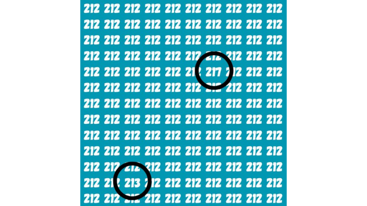 encontre os números 213 e 217