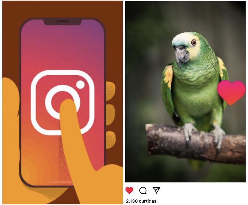 Em atualização, Instagram apresenta novo formato de curtidas