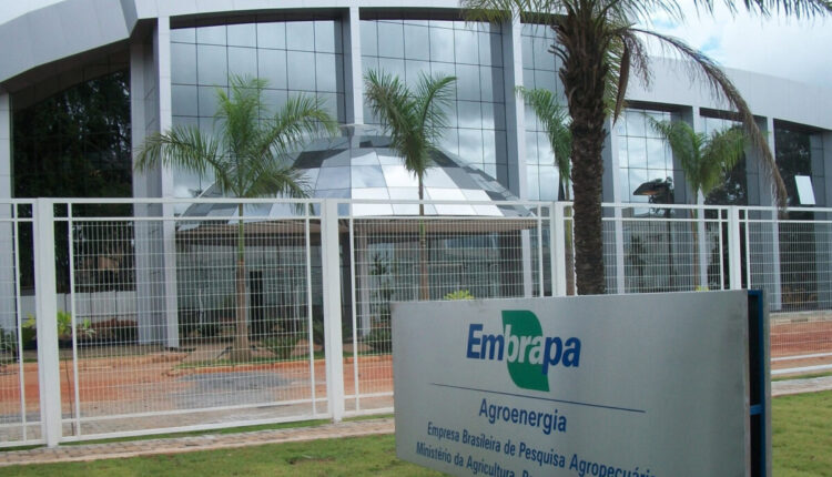 Embrapa anuncia lista de inscrições abertas para cursos gratuitos com certificado