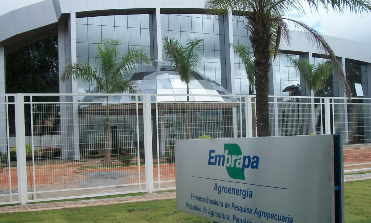 Embrapa anuncia lista de inscrições abertas para cursos gratuitos com certificado