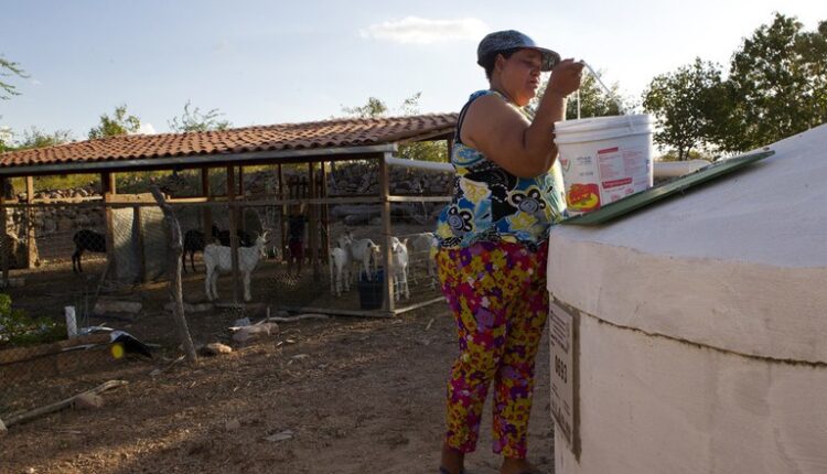 FGV aponta que \"Programa Cisternas\" melhora saúde dos bebês no Semiárido brasileiro