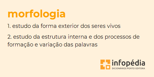 Morfologia: classes de palavras, formação, estrutura - Português