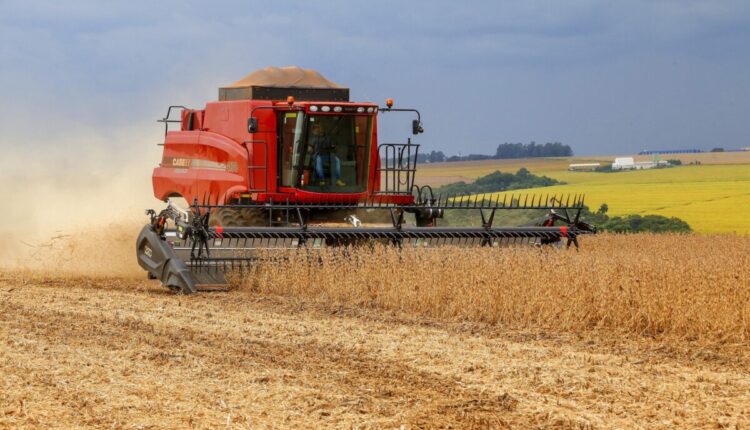 Colheita de soja e milho devem bater recorde em 2023