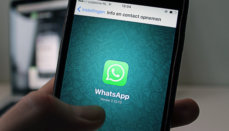 WhatsApp testa nova atualização para usuários ANDROID