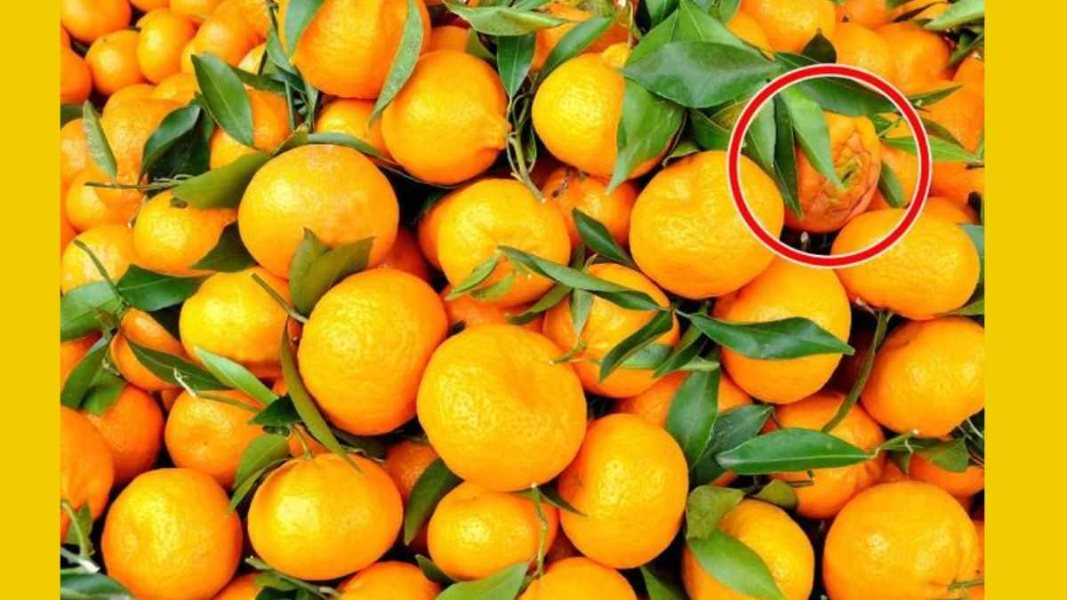 As tangerinas escondem uma flor