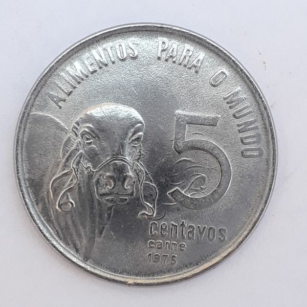 5.654.000 MILHÕES! Moeda de 5 centavos do CRUZEIRO: aprenda a identificar a mais rara da série de 5 centavos