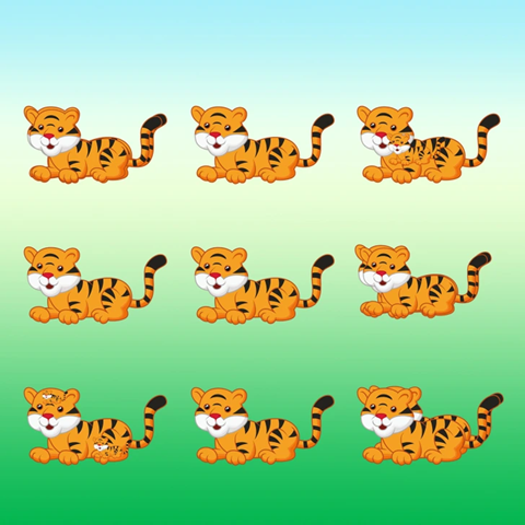 O número de tigres