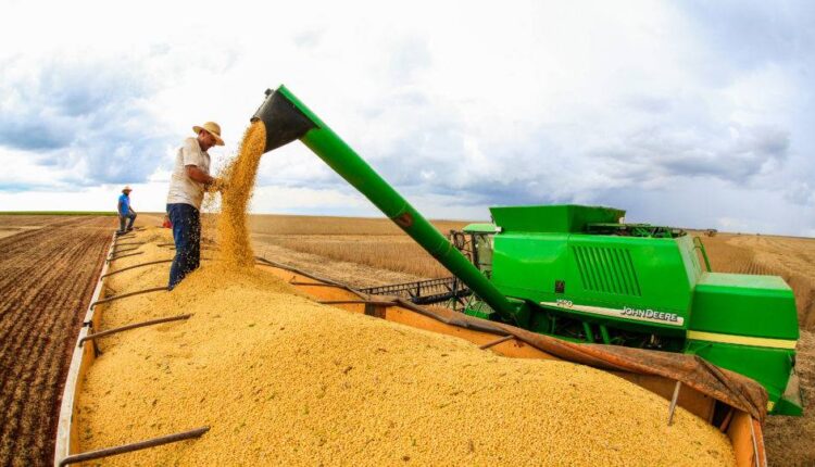 Brasil continua na liderança como o maior exportador agrícola do mundo (Confira!)
