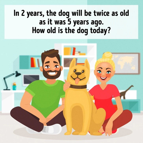 Idade de um cachorro