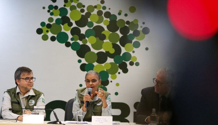 BOLSA VERDE: Governo começa a pagar AUXÍLIO de R$ 600,00 para famílias brasileiras; veja se você tem direito