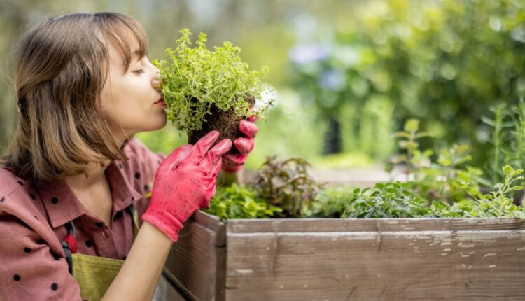 Jardinagem sustentável práticas eco amigáveis para o seu jardim - Reprodução Canva