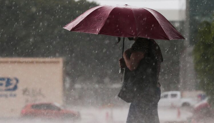 Previsão do tempo: Chuva para os próximos 10 dias em todo Brasil; alguns estados com altos volumes